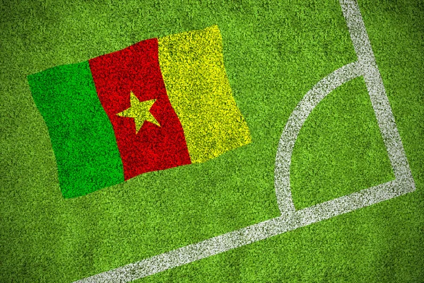 Sammensatt bilde av nasjonalflagget til Kamerun – stockfoto