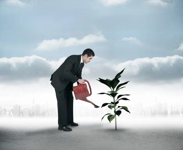 Composite image of businessman watering with red can — Stock Photo, Image