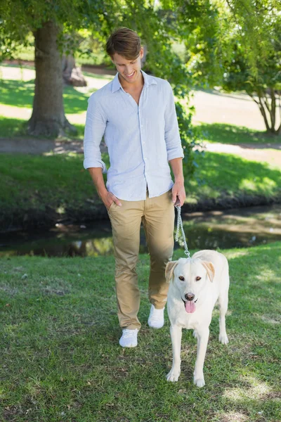 L'uomo che cammina nel suo labrador nel parco — Foto Stock