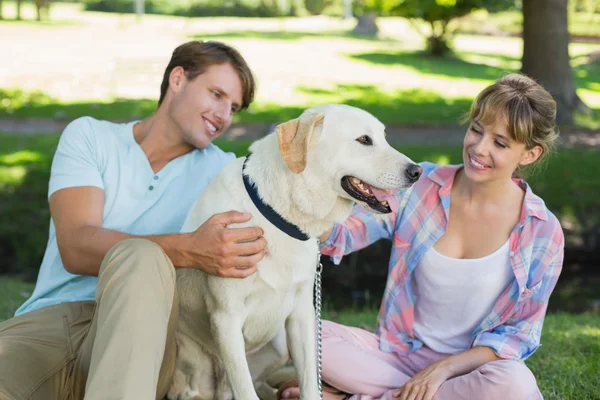 Para siedzi z ich labrador — Zdjęcie stockowe