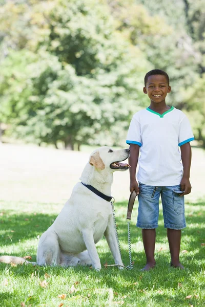 Niño con su mascota labrador en el parque —  Fotos de Stock