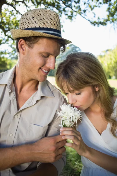 Мужчина предлагает своей девушке белый цветок — стоковое фото