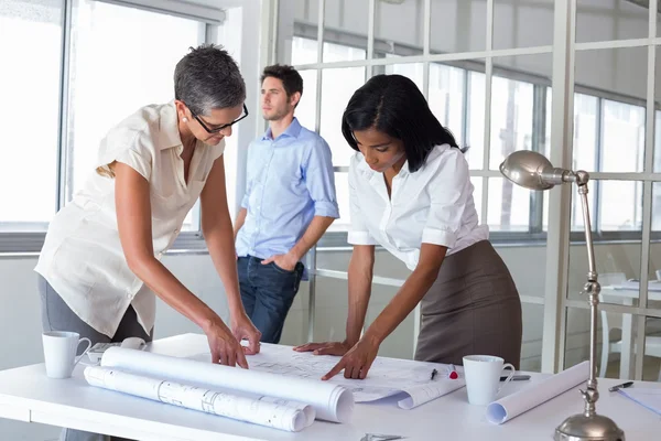 Architects looking at blueprints — Stock Photo, Image