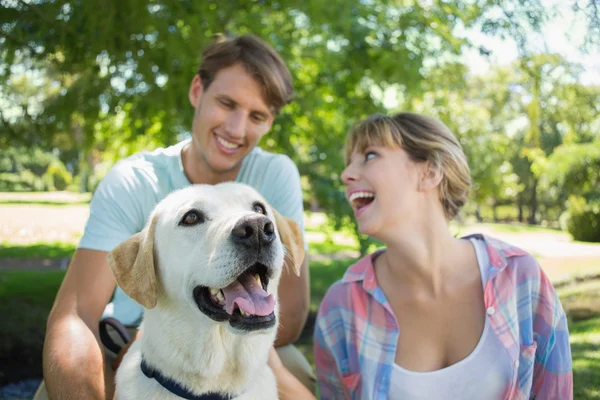 Koppel met hun labrador in het park — Stockfoto