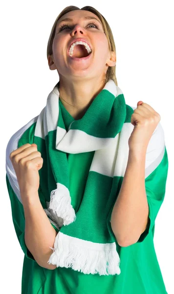 Cheering football fan — Stock Photo, Image