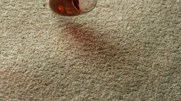 Copa de vino derramado en la alfombra — Vídeo de stock
