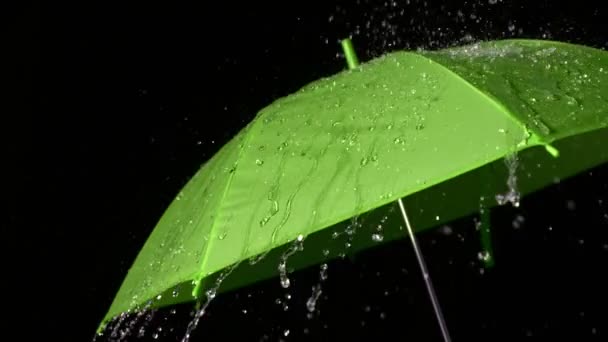 Pioggia che cade sull'ombrello verde — Video Stock