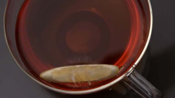 Lemon slice falling in cup of tea — Stock Video