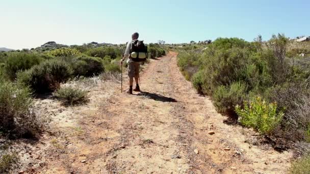 Homem caminhando através de um terreno selvagem — Vídeo de Stock