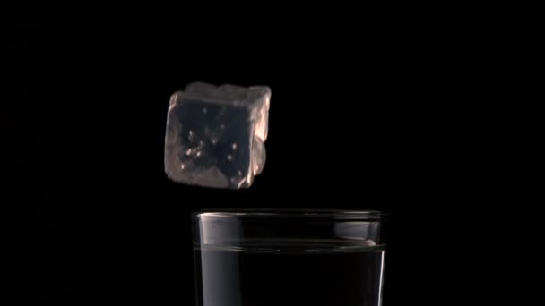 Glaçon tombant dans un verre d'eau — Video