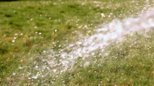 Stříkající vodou na trávě — Stock video