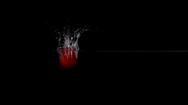 Cherry tomato falling in water — Stock Video