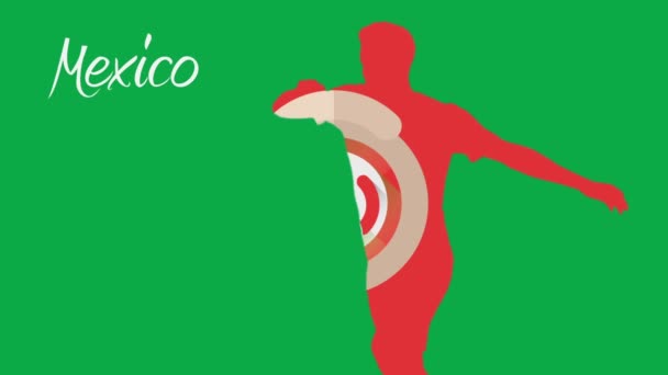 Mexico Wereldkampioenschap voetbal 2014 — Stockvideo