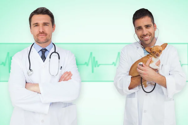 Glad läkare och veterinär — Stockfoto