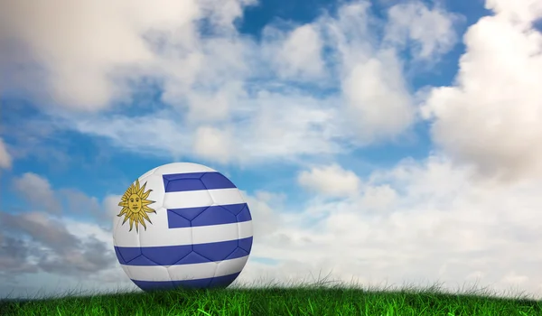 Ποδόσφαιρο στην Ουρουγουάη χρώματα — Φωτογραφία Αρχείου