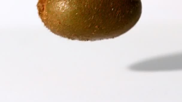 Kiwi falling on white background — Stock Video