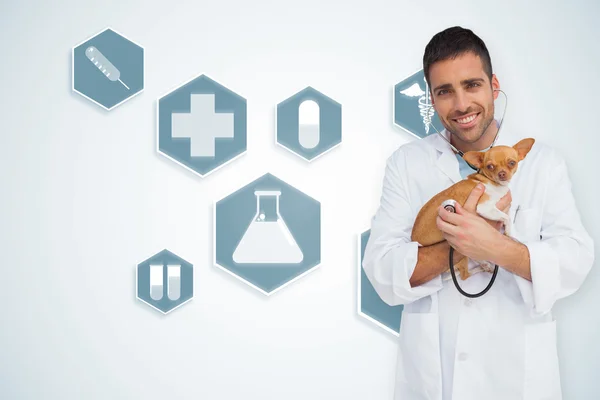 Vet checking dog with stethoscope — Stock Photo, Image