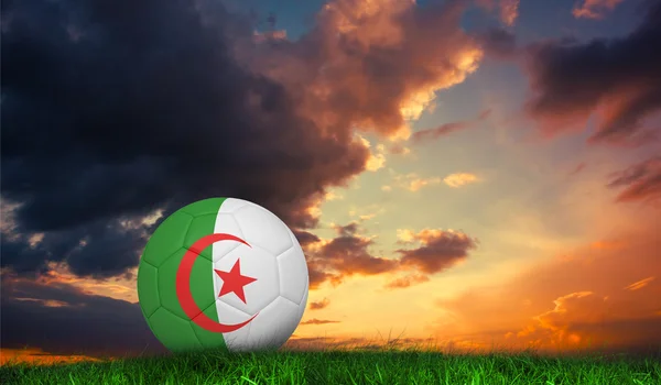Voetbal in Algerije kleuren — Stockfoto