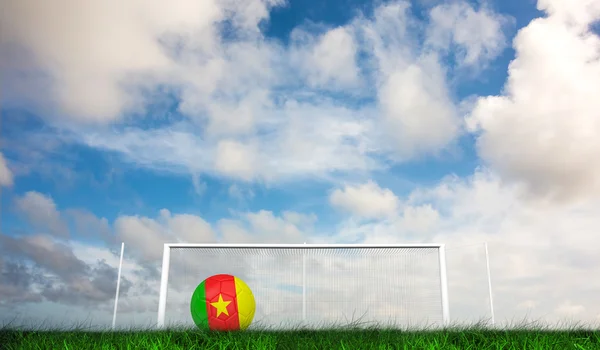 Football in cameroon colours — Stock Photo, Image