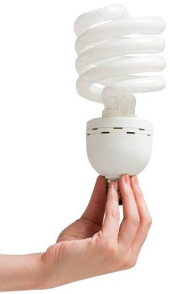 Hand holding energy efficient light bulb — Stock Photo, Image