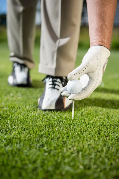 Golfista colocando bola de golfe no tee — Fotografia de Stock