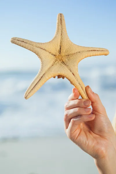 Nő gazdaság tengeri csillag — Stock Fotó