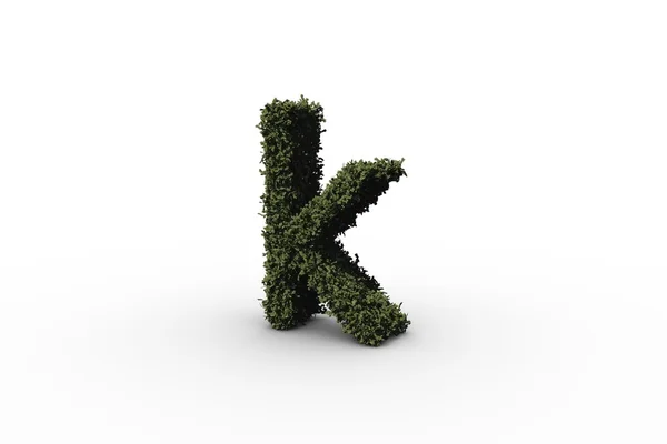 Letter k made of leaves — Stock Photo, Image