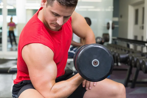 Bodybuilder på bänk lyft hantel — Stockfoto