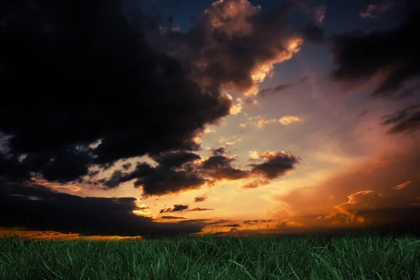 Erba verde sotto il cielo arancione — Foto Stock