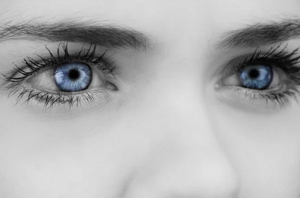 Blue eyes on grey face — Stock Photo, Image