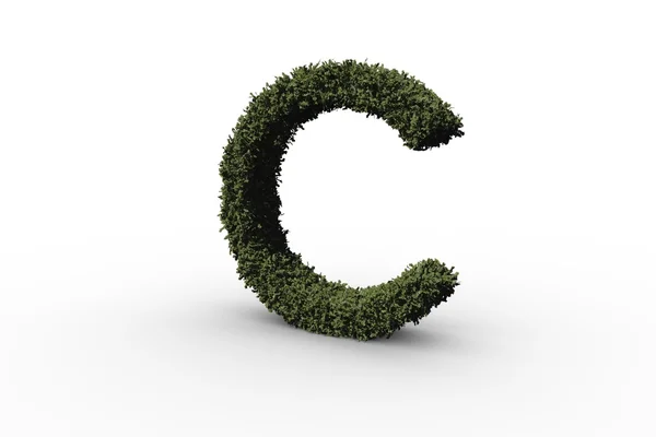 Alfabet c gemaakt van bladeren — Stockfoto