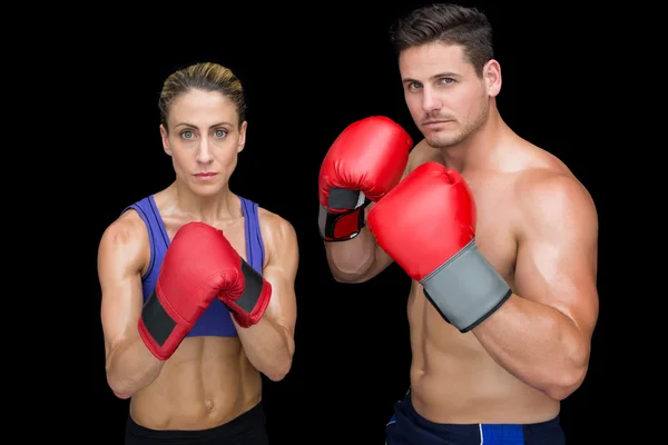 Culturismo pareja posando con guantes de boxeo — Foto de Stock