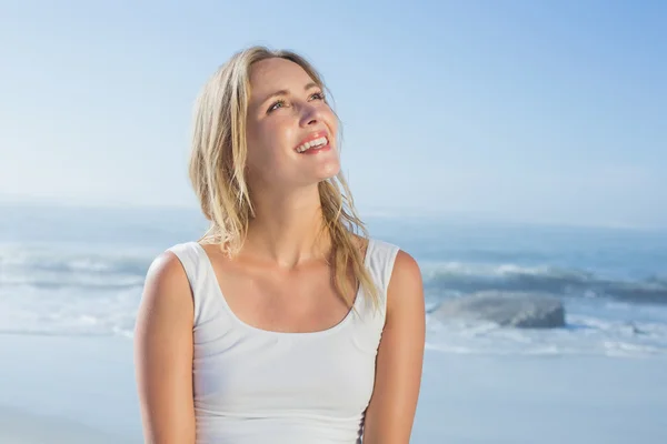 Blonde posing at beach Stock Image