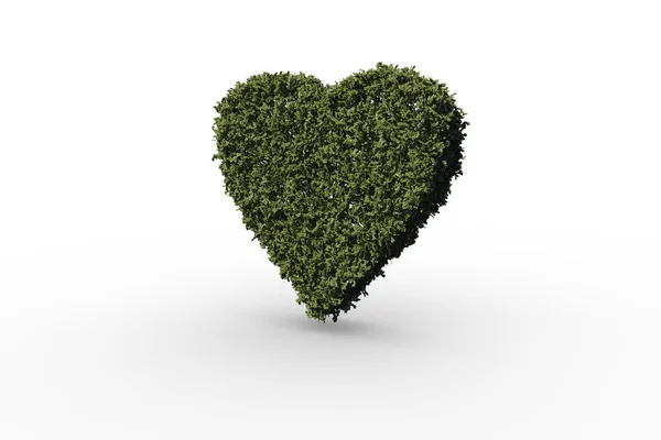 Серце з листя — стокове фото