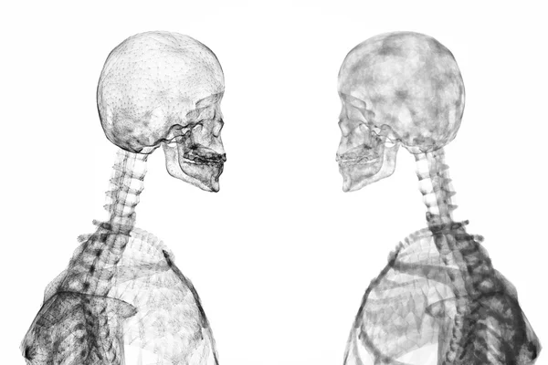 Σκελετός γραφικά αντικριστά — Φωτογραφία Αρχείου