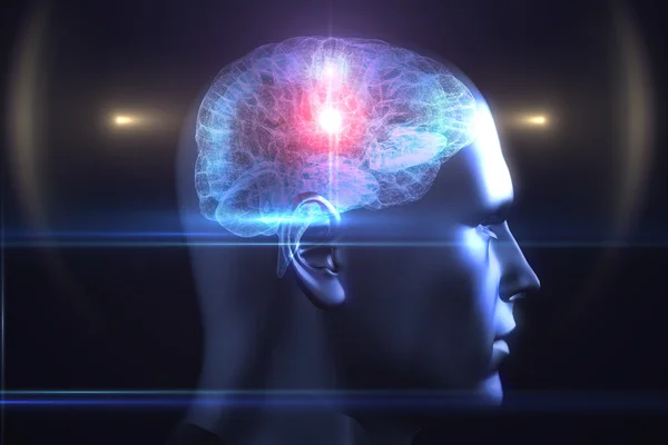 Brain diagram in human head — Stock Photo, Image