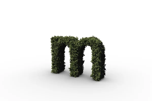 Letter m made of leaves — Stock Photo, Image