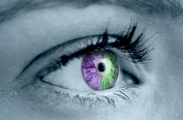 Purple and green eye on grey face — Stock Photo, Image