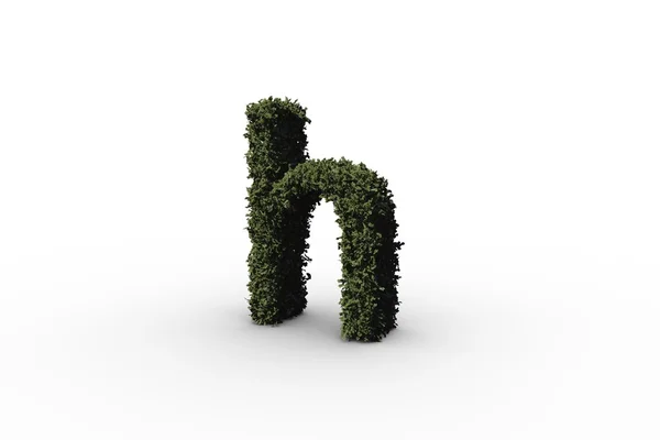 Буква h из листьев — стоковое фото