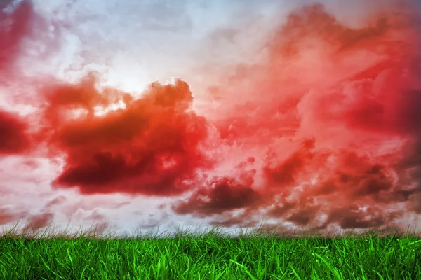 Grama verde sob o céu vermelho — Fotografia de Stock