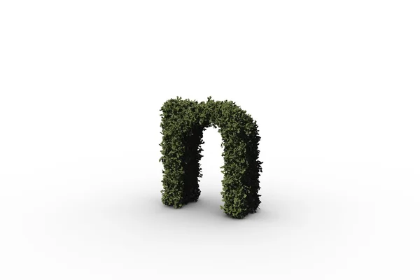 Letter n made of leaves — Stock Photo, Image