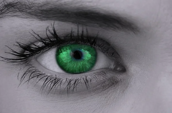 Ярко-зелёный глаз на женском лице — стоковое фото