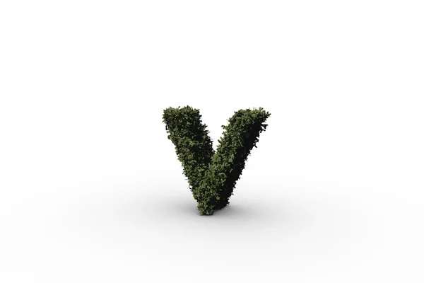 Letter v made of leaves — Stock Photo, Image