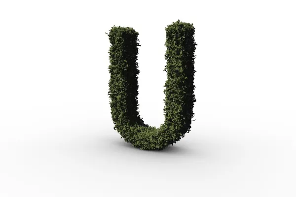 Letter u made of leaves — Stock Photo, Image
