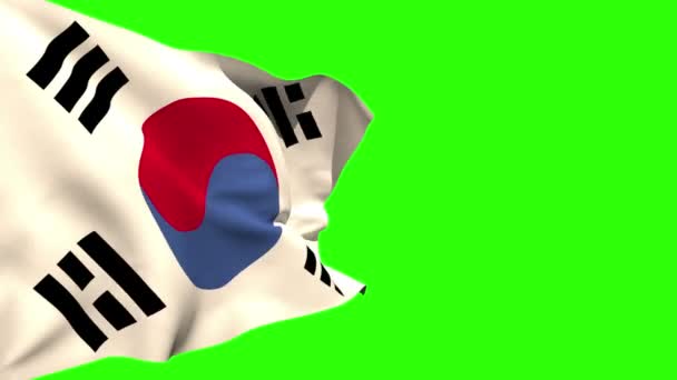 República de Corea bandera nacional ondeando — Vídeo de stock