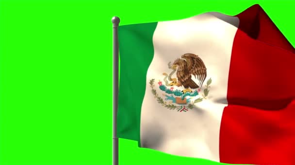 Mexico national flag waving — Stock Video