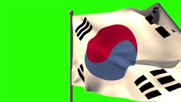 Koreanische Nationalflagge geschwenkt — Stockvideo