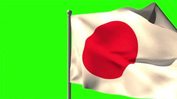 Japanische Nationalflagge geschwenkt — Stockvideo