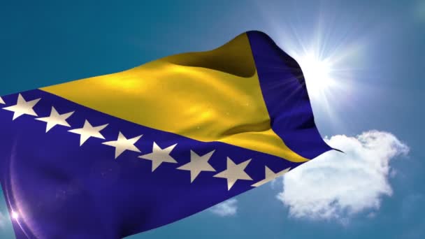 Bosnia national flag blowing — Stock Video