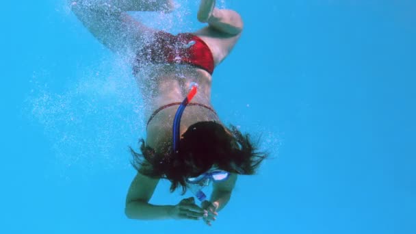 Feliz morena bajo el agua en la piscina con snorkel — Vídeos de Stock